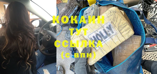 мдпв Михайлов