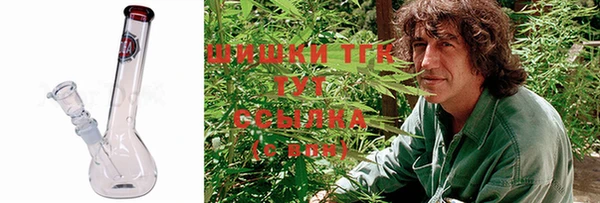 мдпв Михайлов