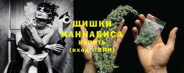 мдпв Михайлов