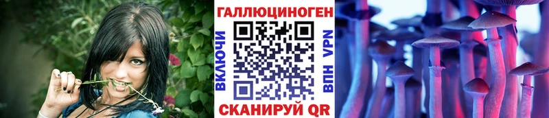 KRAKEN как войти  продажа наркотиков  Оленегорск  Галлюциногенные грибы Magic Shrooms 