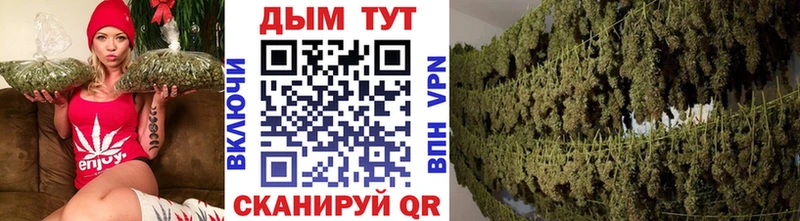 Каннабис AK-47  наркотики  Оленегорск 